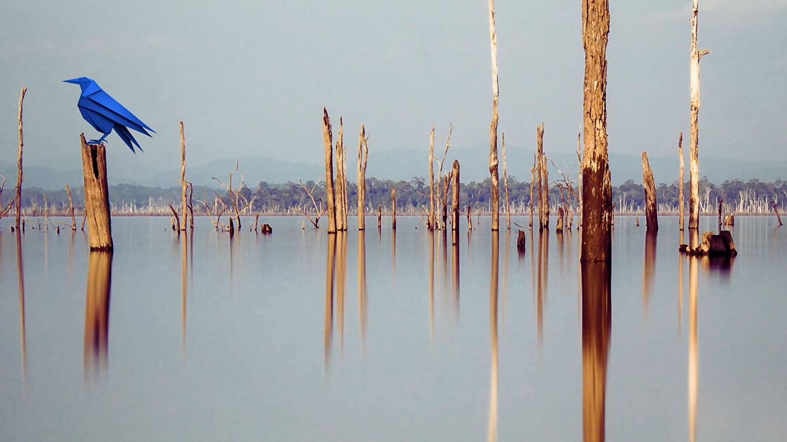 Concert : Brillant Corbeau 