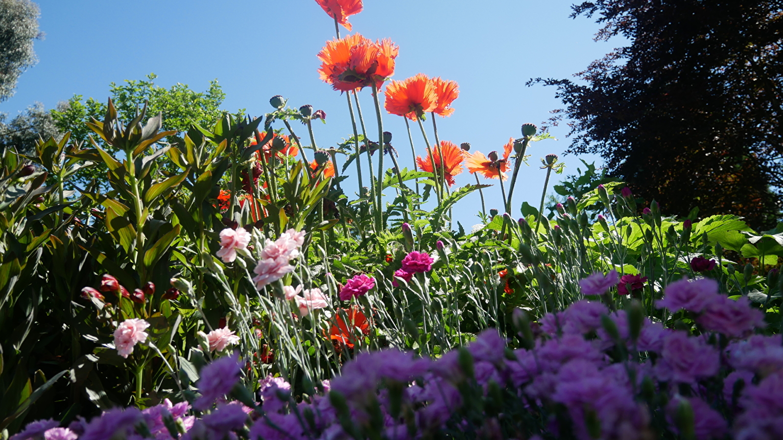 Rendez vous aux Jardins : Jardins de pierres, pierres de jardins