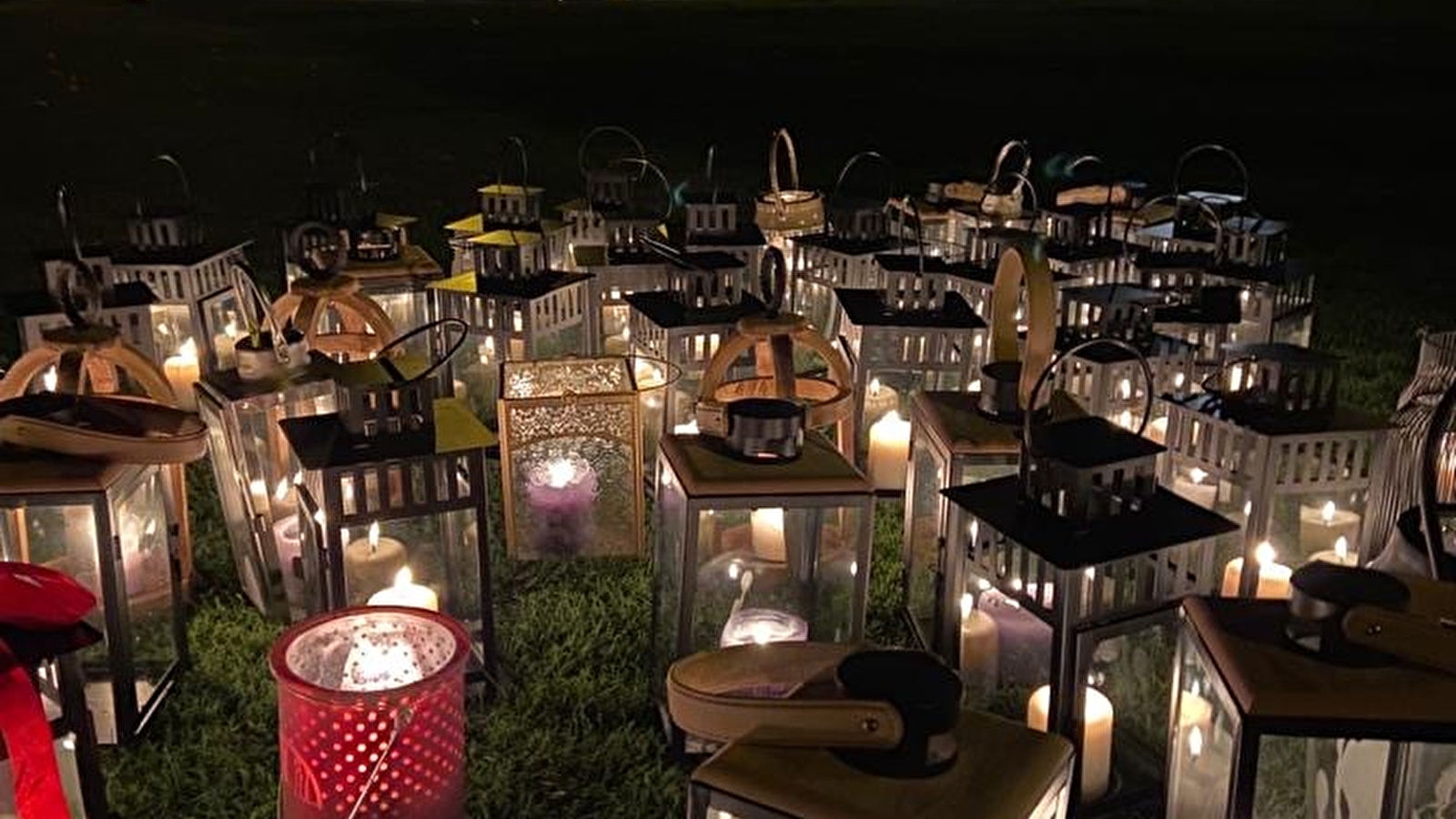 Nocturne au Parc Floral d'Apremont
