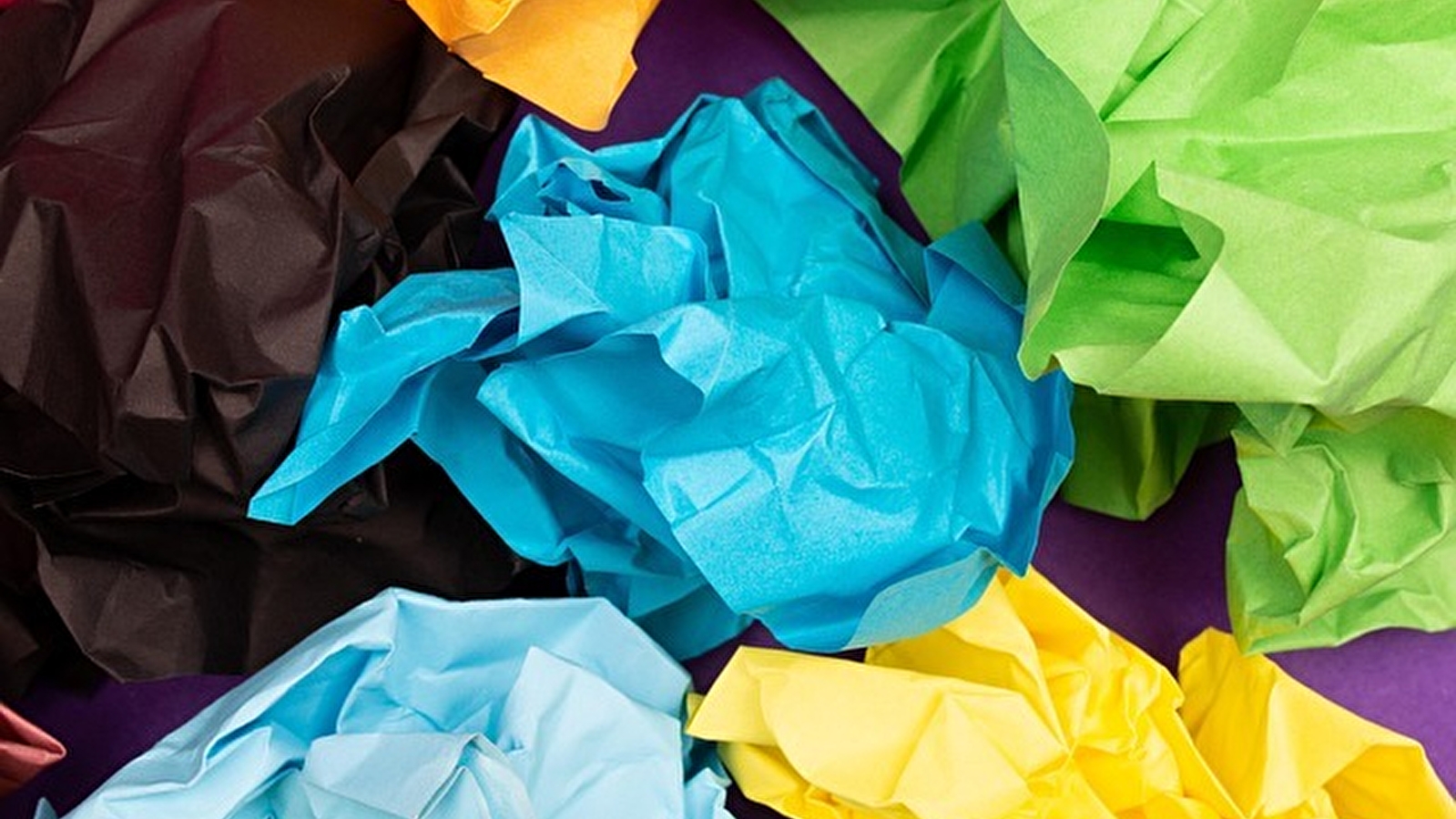 Exposition : Expo papiers