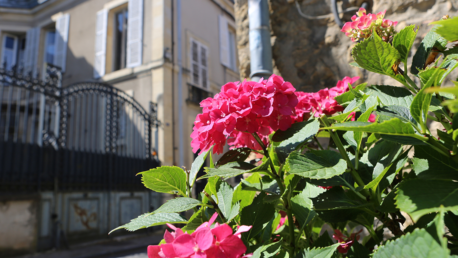 Visite guidée : Ville en jaune