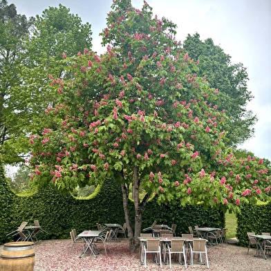 La Brasserie du Lavoir