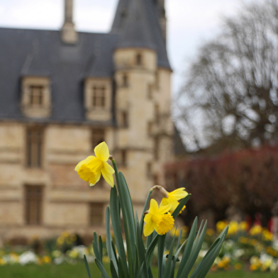 Petites et grandes histoires du Palais - Visite guidée du Palais ducal