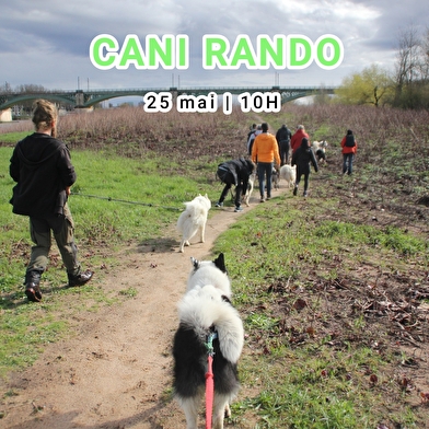 Sur les traces des chiens Iakoutes
