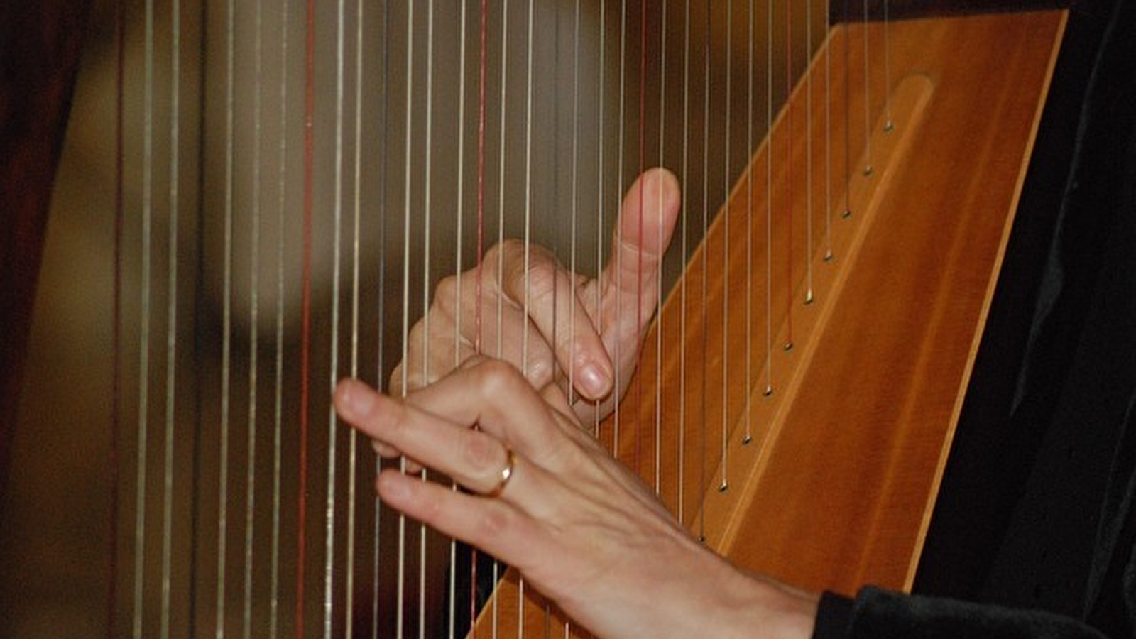 Concert : Wolcum Yole