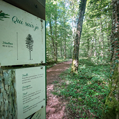 Sentier d'interprétation - Etang de Niffond