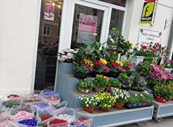 Christel Fleurs - POUGUES-LES-EAUX