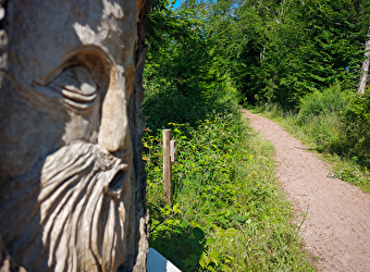 Sentier d'interprétation - Etang de Niffond - VARENNES-VAUZELLES