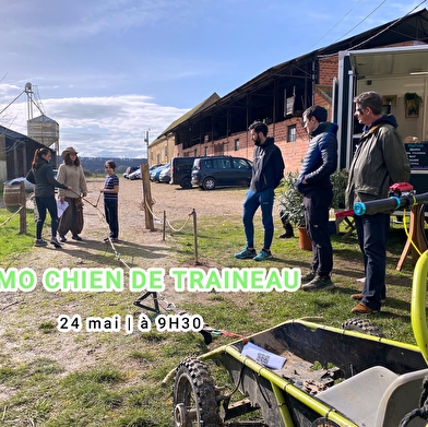 Sur les traces des chiens Iakoutes