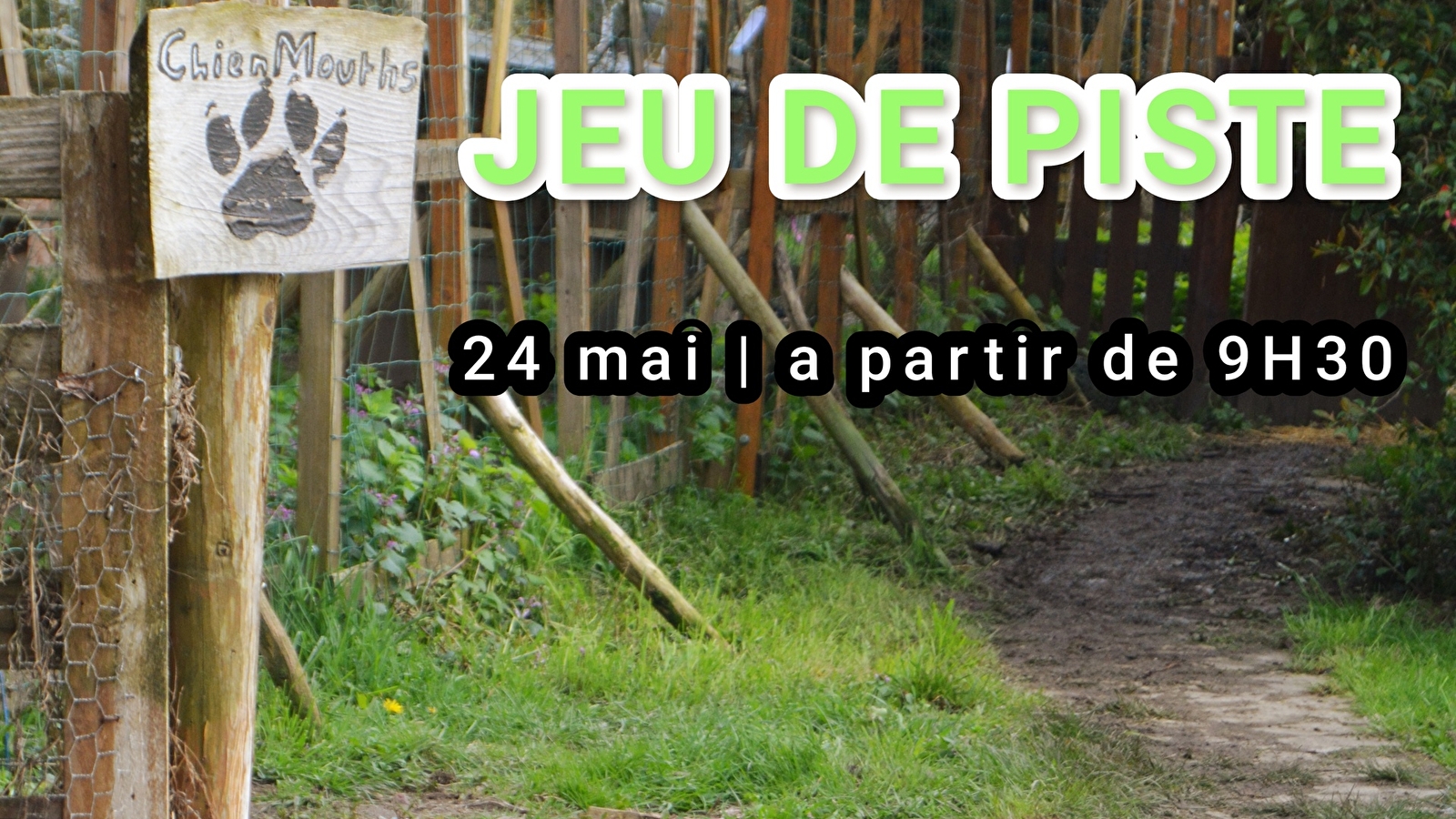 Sur les traces des chiens Iakoutes